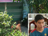 Ảnh minh họa
