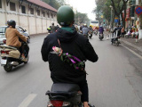 Ảnh minh họa