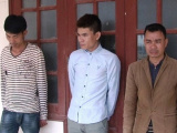 Ảnh minh họa