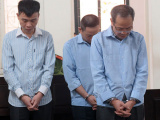 Ảnh minh họa