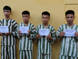 Ảnh minh họa