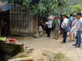 Ảnh minh họa