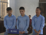 Ảnh minh họa