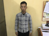 Ảnh minh họa