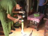 Ảnh minh họa