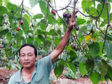 Ảnh minh họa