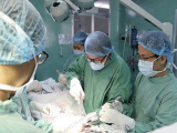 Ảnh minh họa