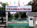 Ảnh minh họa