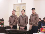 Ảnh minh họa