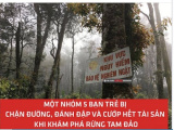 Ảnh minh họa