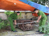 Ảnh minh họa