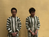 Ảnh minh họa