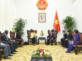 Ảnh minh họa