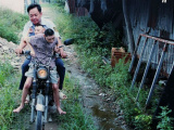 Ảnh minh họa
