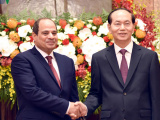 Ảnh minh họa