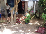 Ảnh minh họa