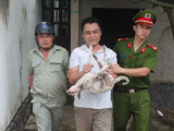 Ảnh minh họa