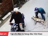 Ảnh minh họa