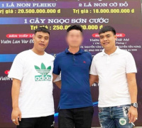 Ảnh minh họa