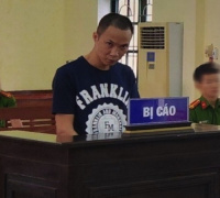 Ảnh minh họa