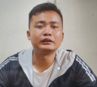 Ảnh minh họa