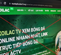 Ảnh minh họa