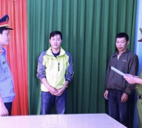 Ảnh minh họa