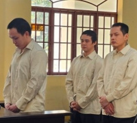 Ảnh minh họa