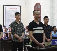 Ảnh minh họa