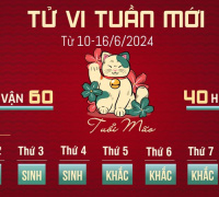 Ảnh minh họa