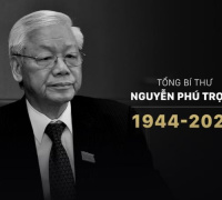 Ảnh minh họa