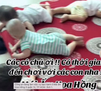 Ảnh minh họa