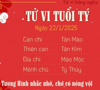 Ảnh minh họa