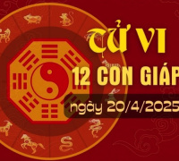 Ảnh minh họa