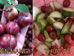 Ảnh bìa bài viết 622864