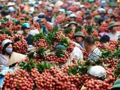 Ảnh bìa bài viết 622925