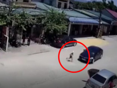 Ảnh bìa bài viết 623393