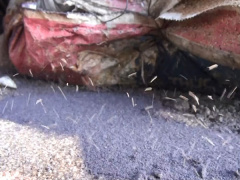 Ảnh bìa bài viết 623465