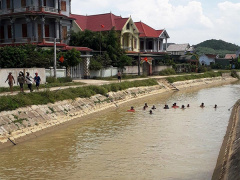 Ảnh bìa bài viết 623303