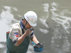 Ảnh bìa bài viết 623454