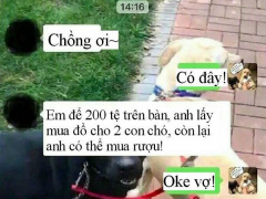 Ảnh bìa bài viết 623687