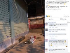 Ảnh bìa bài viết 623922