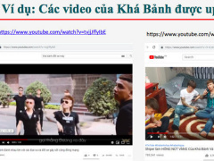 Ảnh bìa bài viết 623821