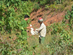 Ảnh bìa bài viết 624108