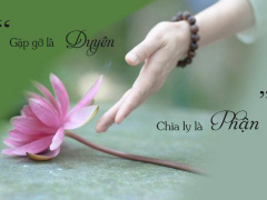 Ảnh bìa bài viết 624125