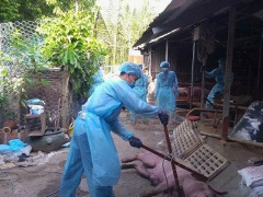 Ảnh bìa bài viết 624220