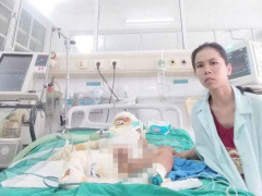 Ảnh bìa bài viết 624483