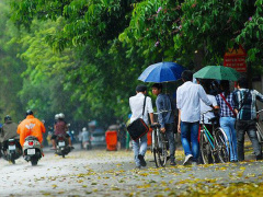 Ảnh bìa bài viết 624692