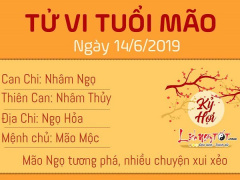 Ảnh bìa bài viết 624612