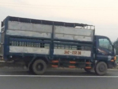 Ảnh bìa bài viết 624956